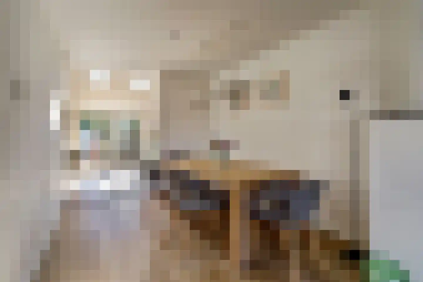 Papaverstraat 22 Dongen thumbnail 12
