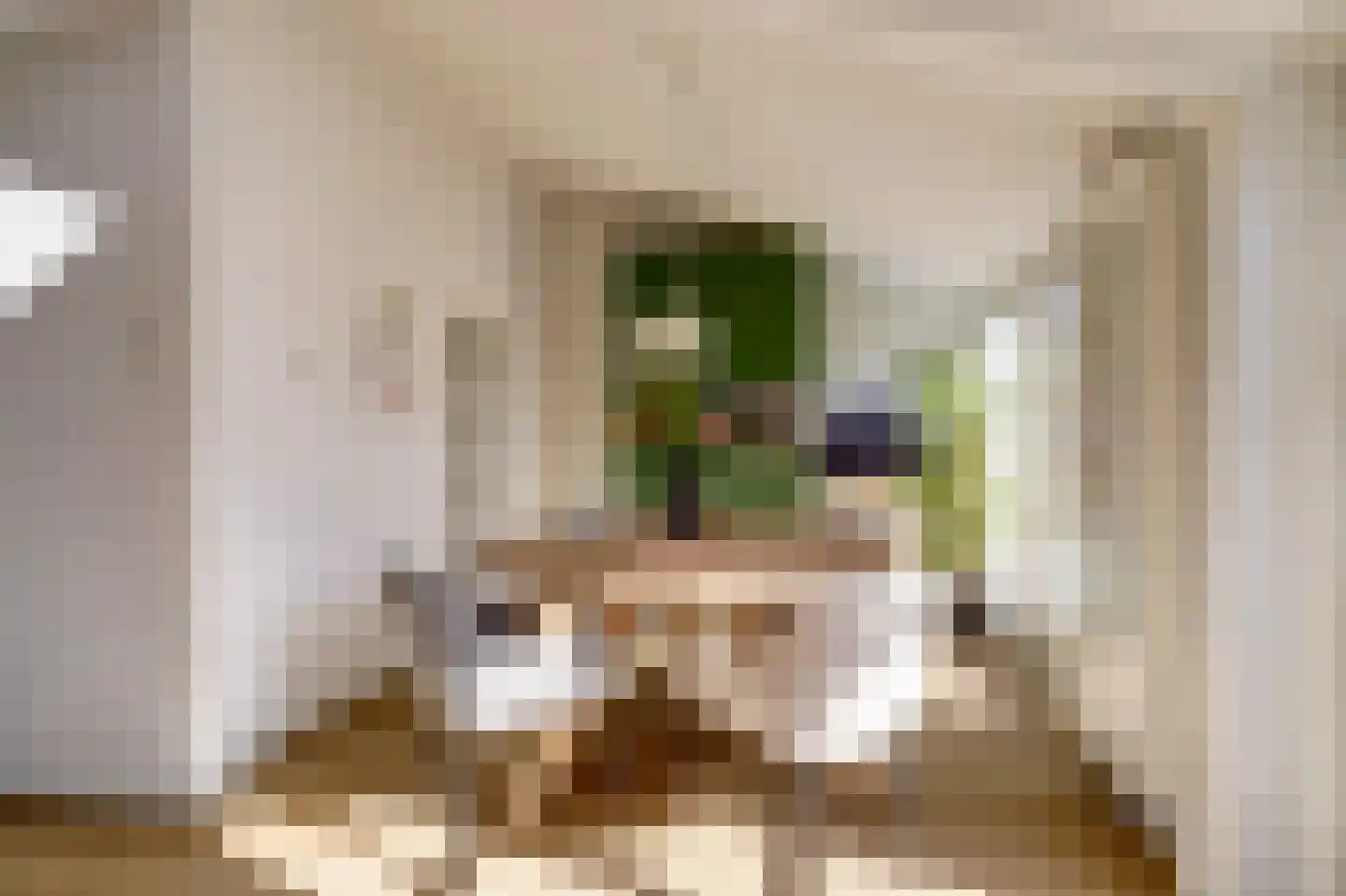 Papaverstraat 22 Dongen thumbnail 14
