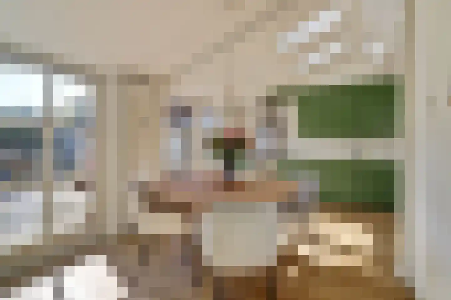 Papaverstraat 22 Dongen thumbnail 15