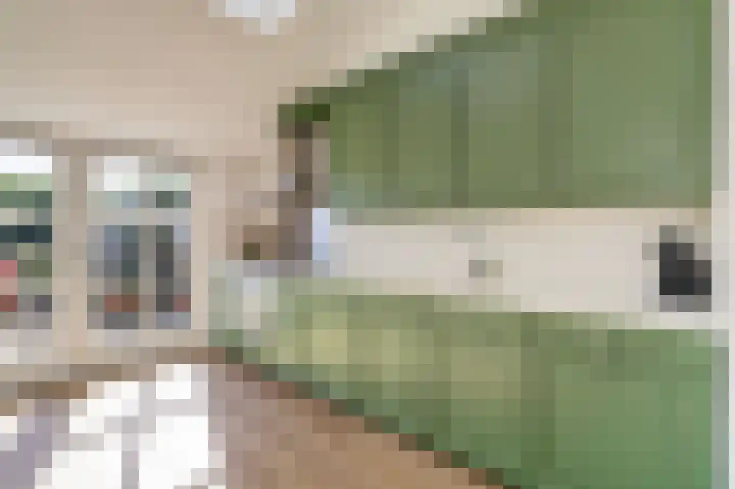 Papaverstraat 22 Dongen thumbnail 17