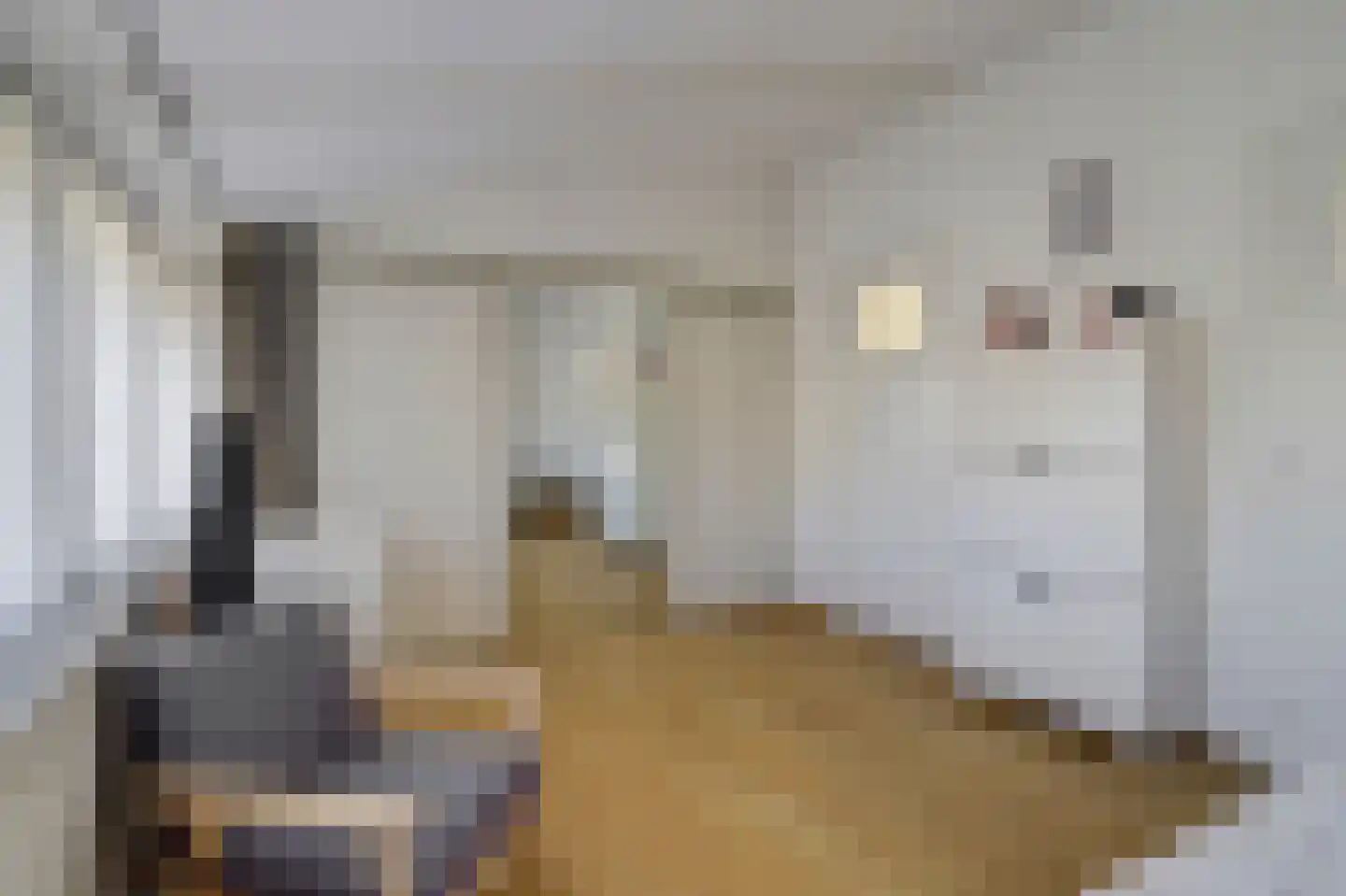 Papaverstraat 22 Dongen thumbnail 21