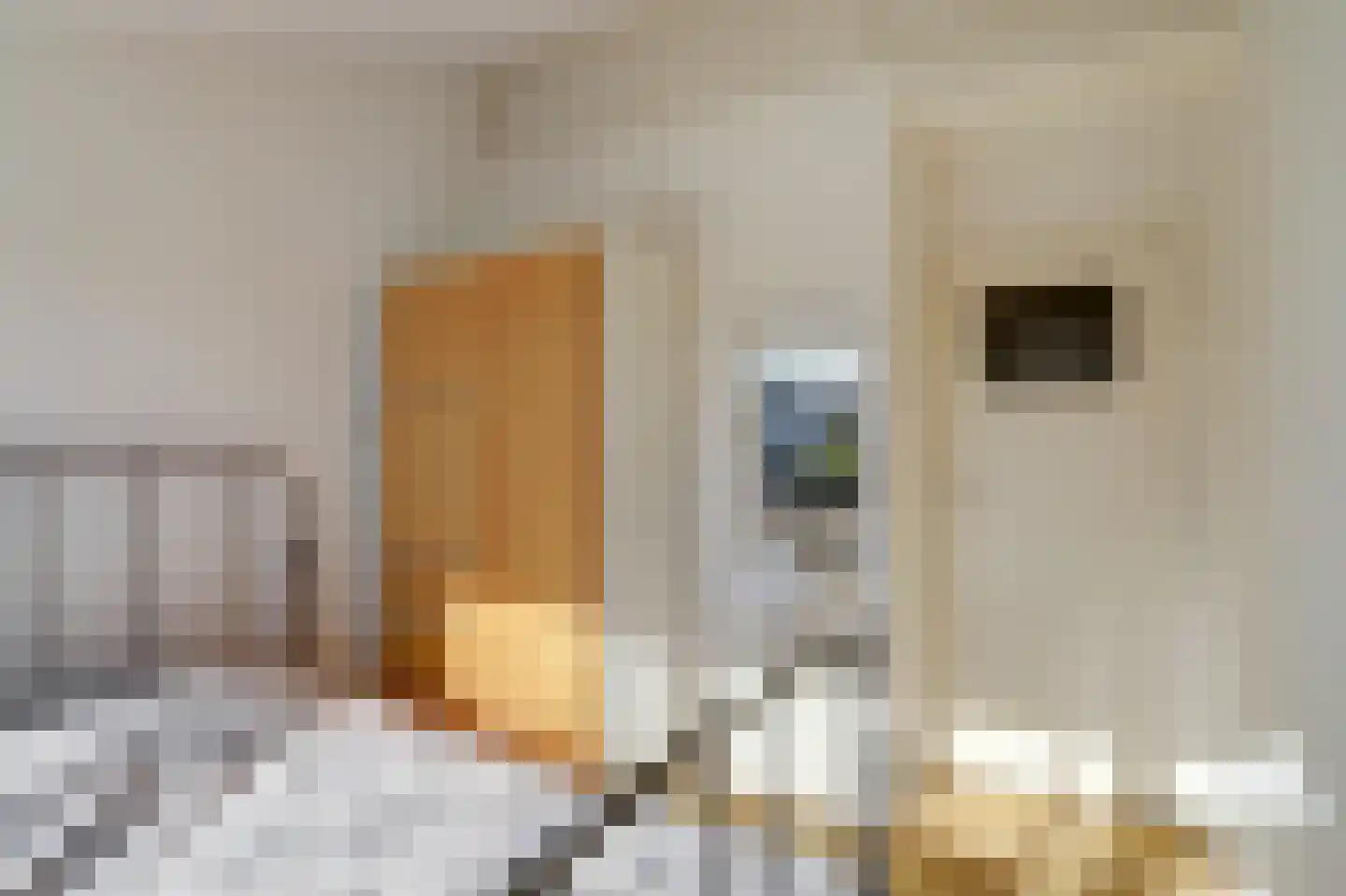 Papaverstraat 22 Dongen thumbnail 22