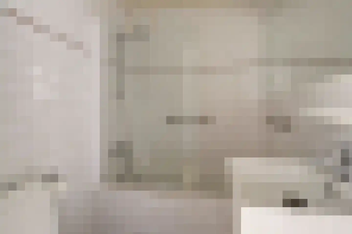 Papaverstraat 22 Dongen thumbnail 25