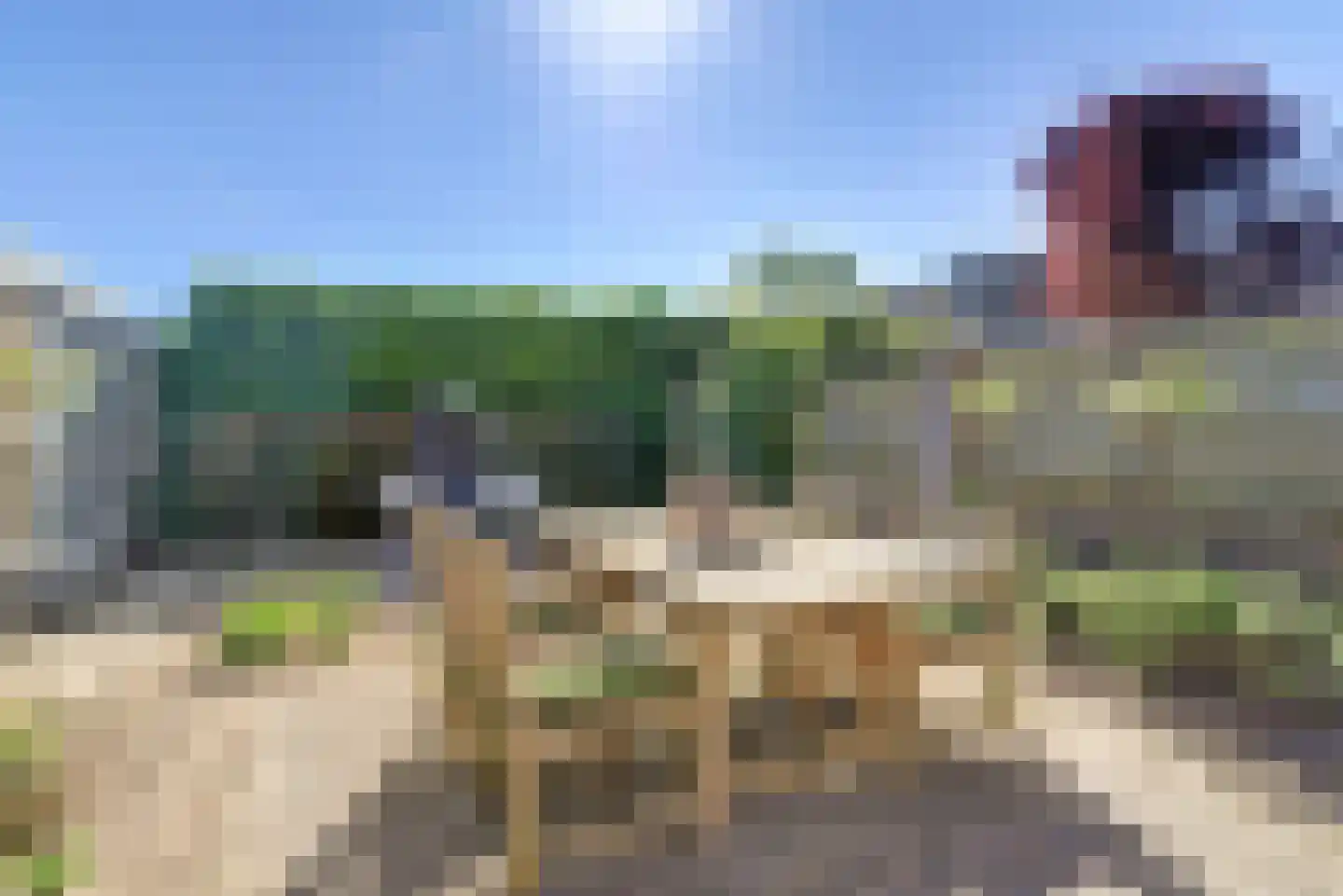 Papaverstraat 22 Dongen thumbnail 28