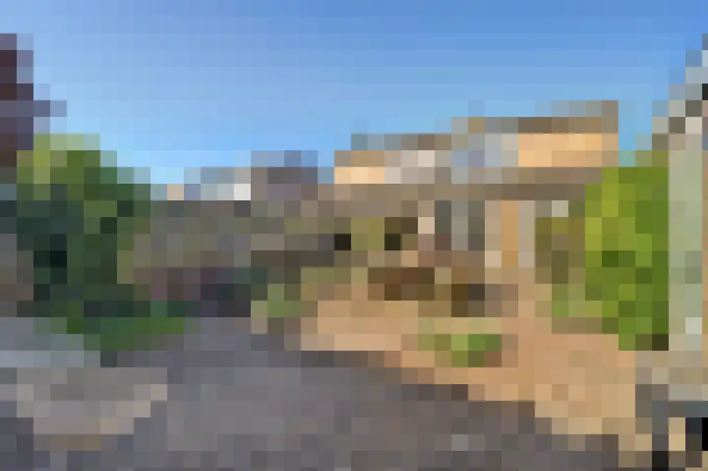 Papaverstraat 22 Dongen thumbnail 4