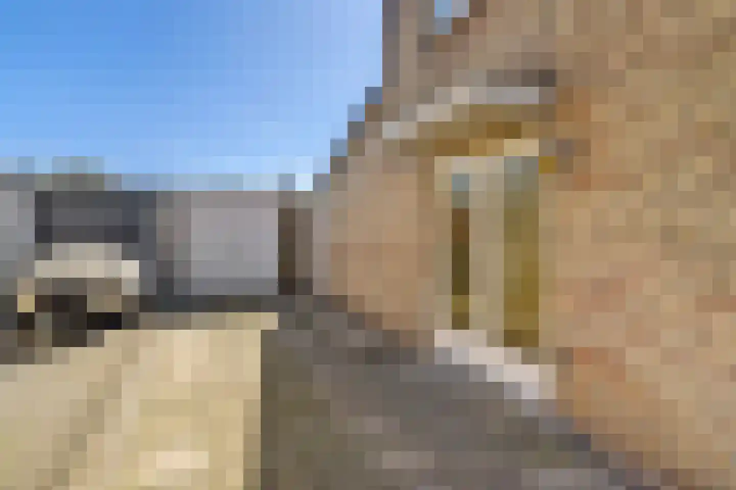Papaverstraat 22 Dongen thumbnail 6