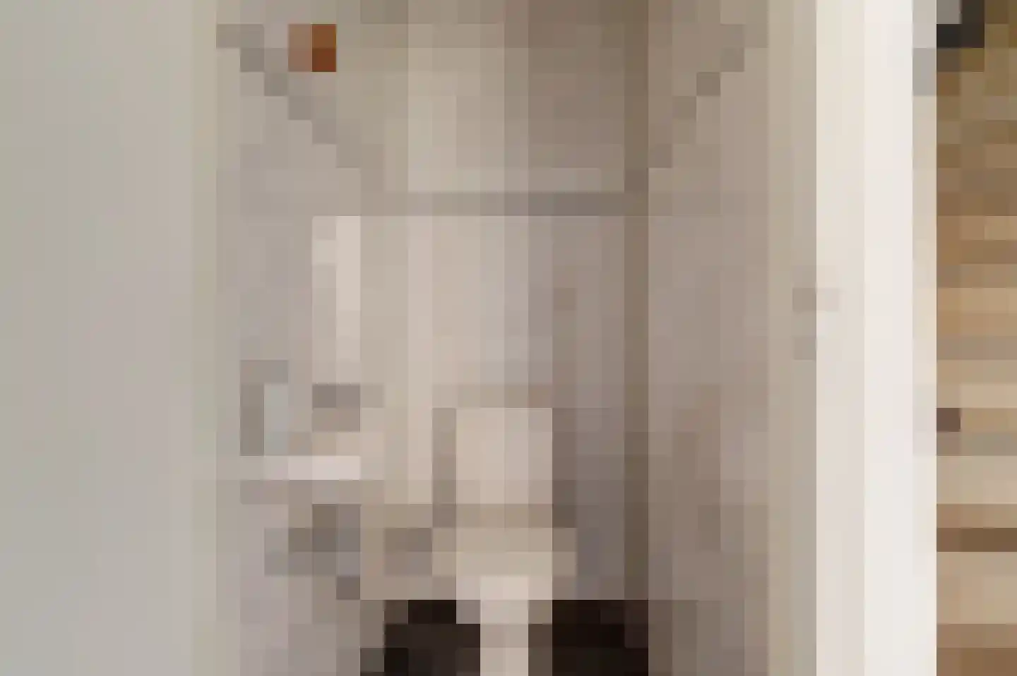 Papaverstraat 22 Dongen thumbnail 8