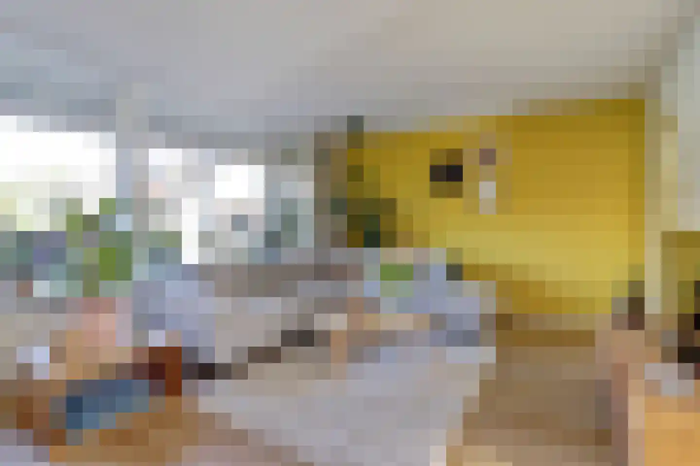 Papaverstraat 22 Dongen thumbnail 9