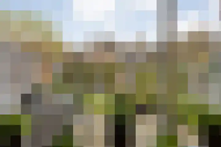 Papaverstraat 22 Zelhem thumbnail 11