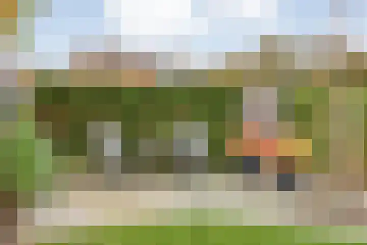 Papaverstraat 22 Zelhem thumbnail 4