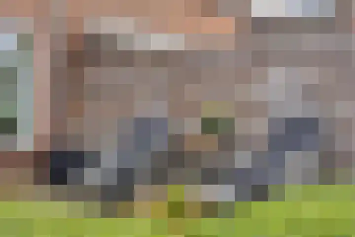 Papaverstraat 22 Zelhem thumbnail 5