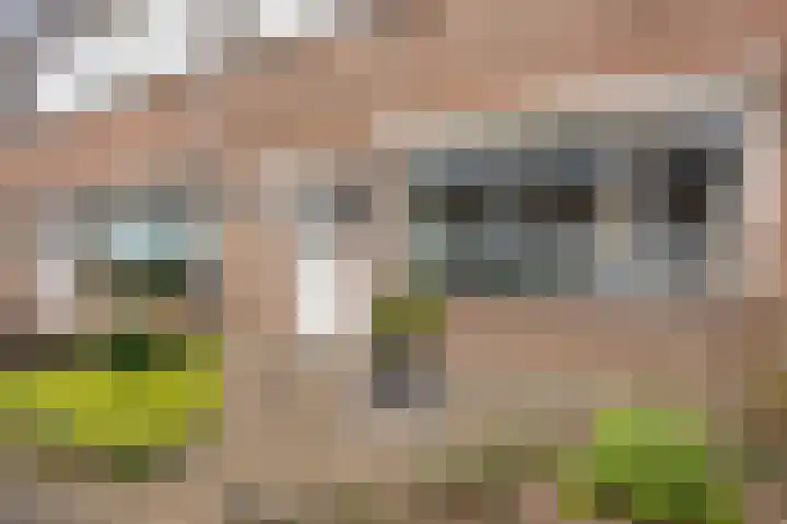Papaverstraat 23 Rosmalen thumbnail 32