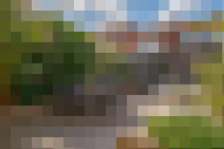 Papaverstraat 23 Zwolle thumbnail 25