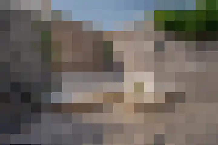 Papaverstraat 23 Zwolle thumbnail 26