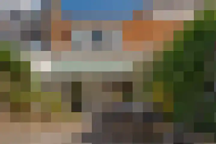 Papaverstraat 23 Zwolle thumbnail 27
