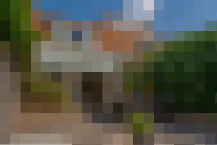 Papaverstraat 23 Zwolle thumbnail 28