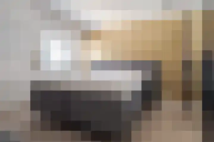 Papaverstraat 23 Zwolle thumbnail 31