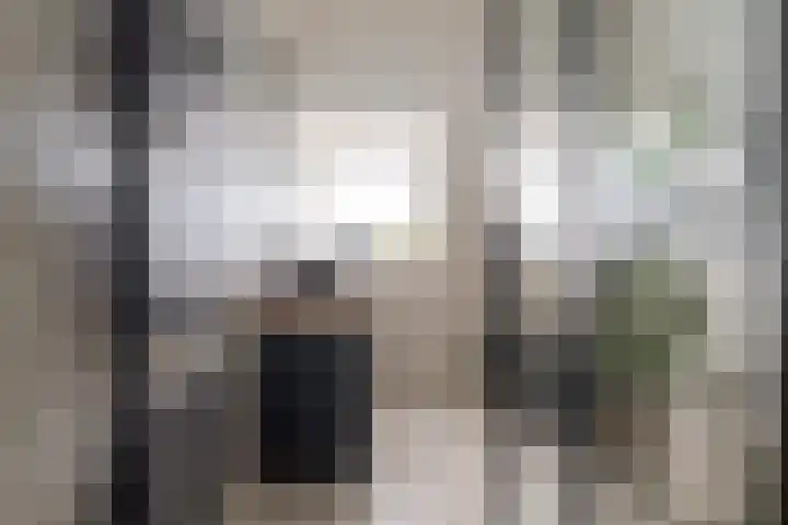 Papaverstraat 23 Zwolle thumbnail 37