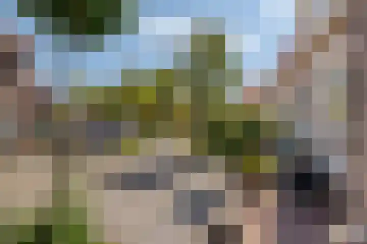 Papaverstraat 23 Zwolle thumbnail 6