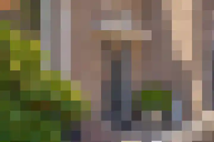 Papaverstraat 23 Zwolle thumbnail 7