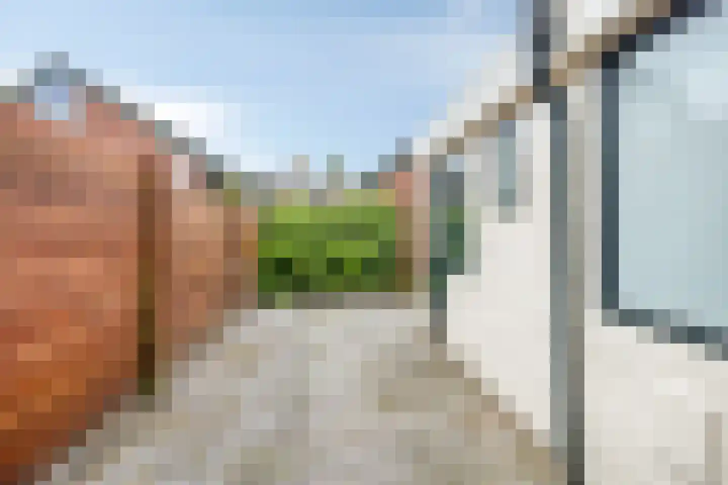 Papaverstraat 24 Leeuwarden thumbnail 18