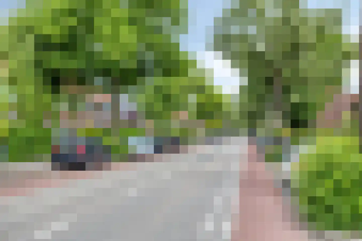 Papaverstraat 24 Leeuwarden thumbnail 24