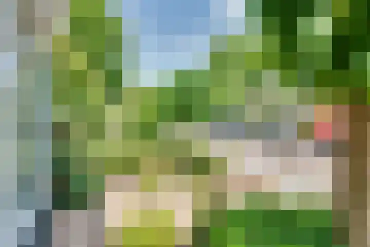 Papaverstraat 28 Rosmalen thumbnail 4
