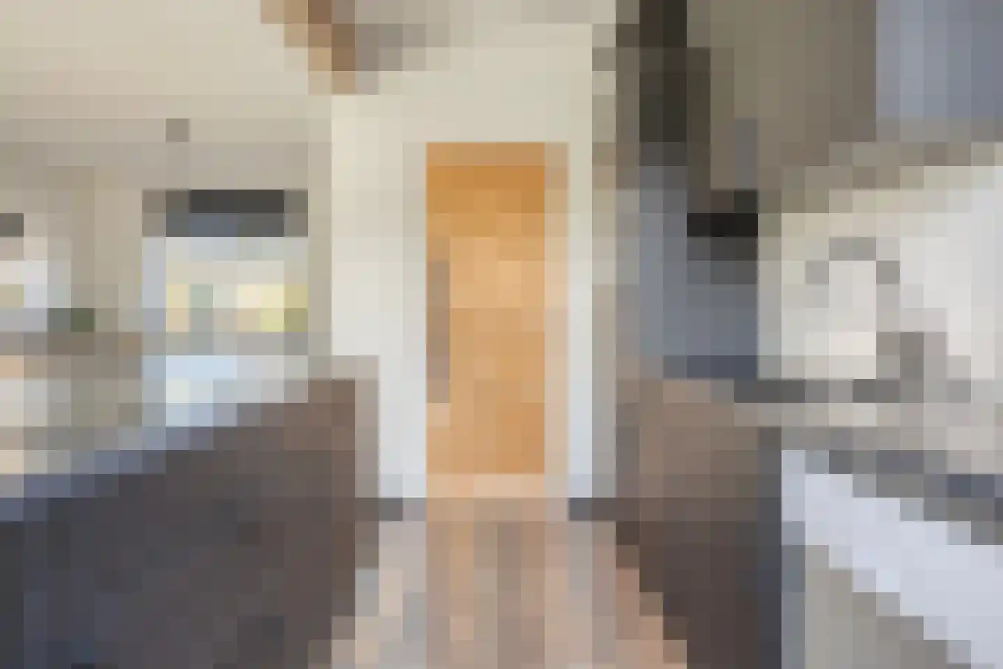 Papaverstraat 29 Alblasserdam thumbnail 14
