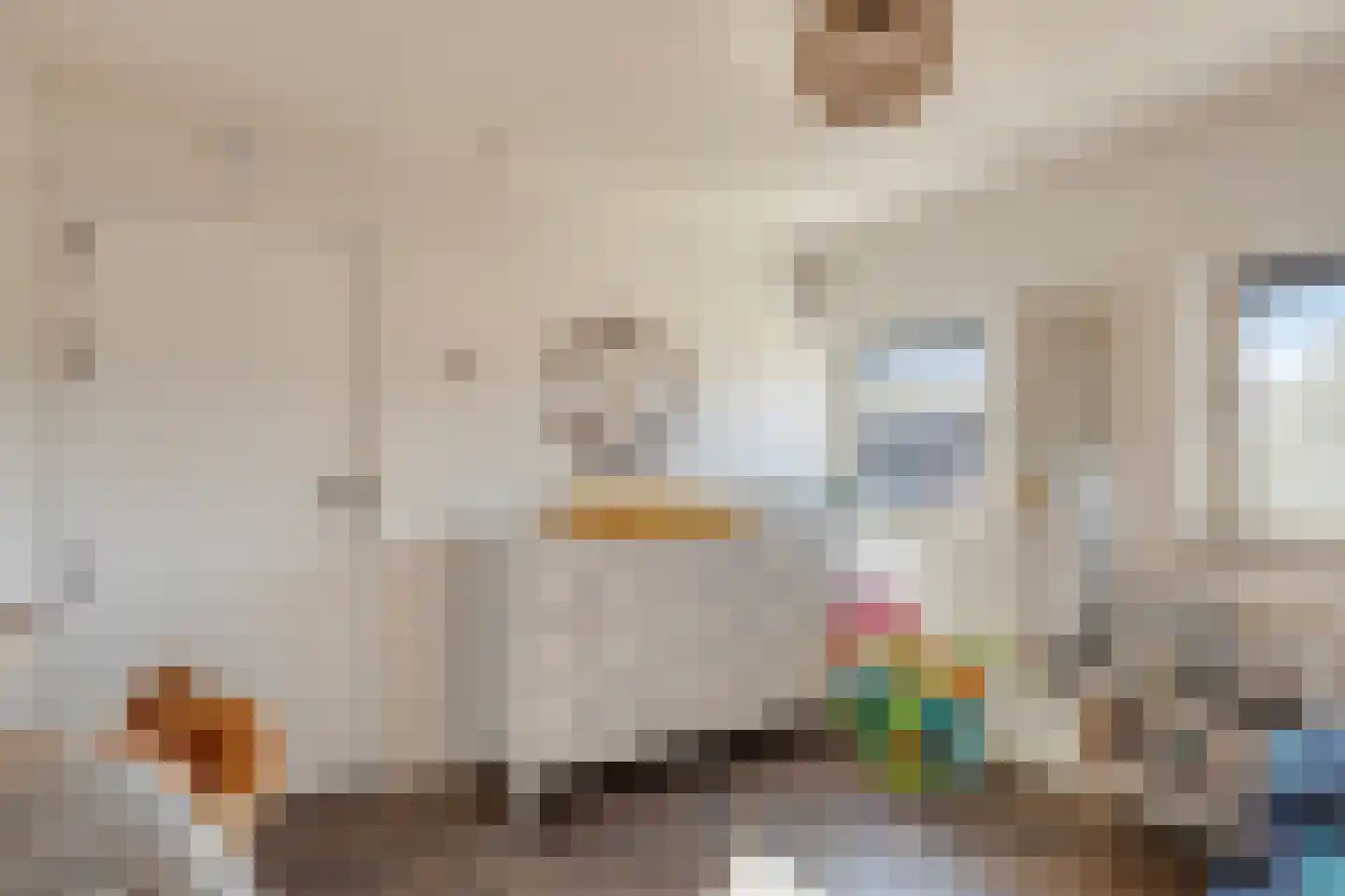Papaverstraat 29 Alblasserdam thumbnail 17
