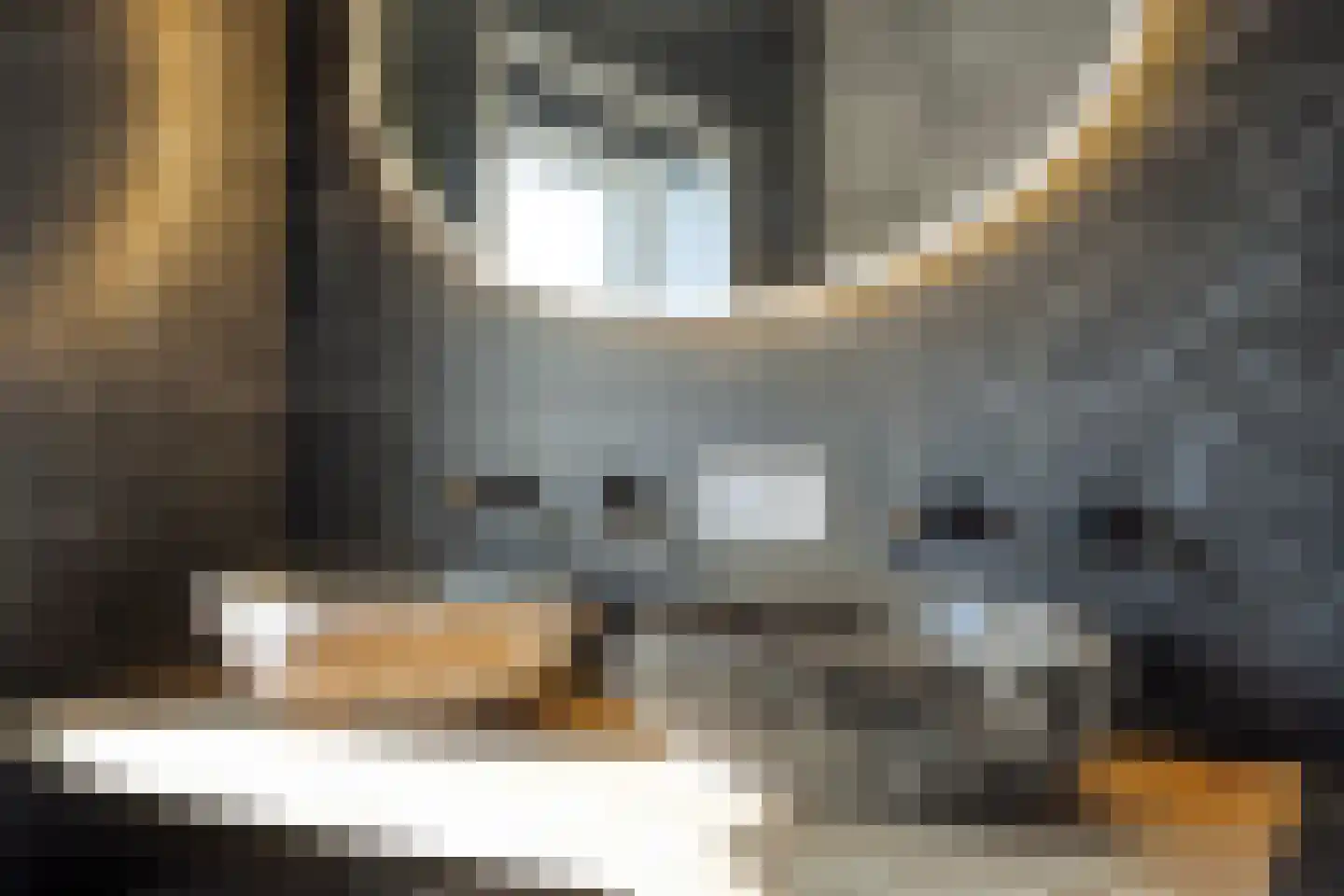 Papaverstraat 29 Alblasserdam thumbnail 23