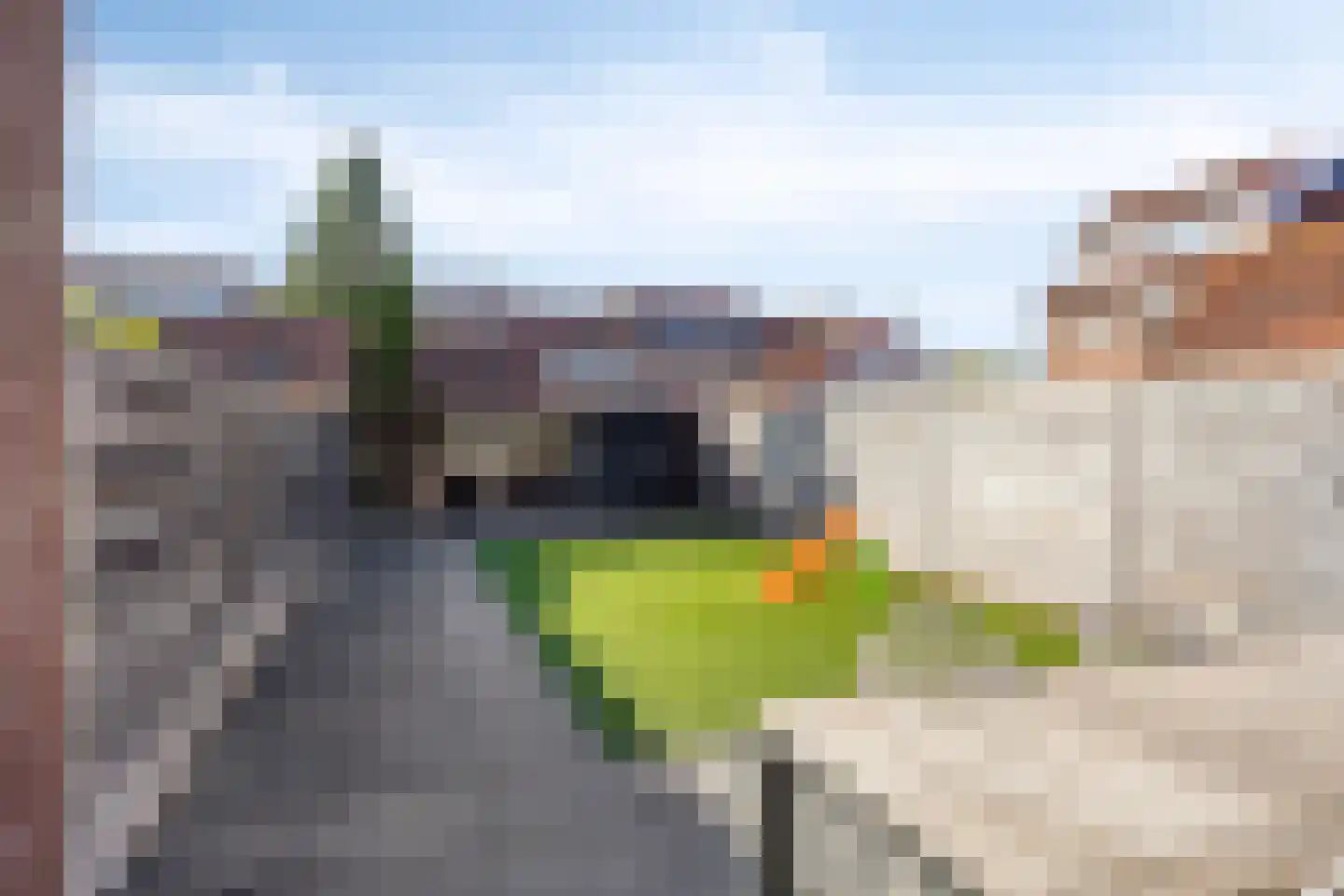 Papaverstraat 29 Alblasserdam thumbnail 28