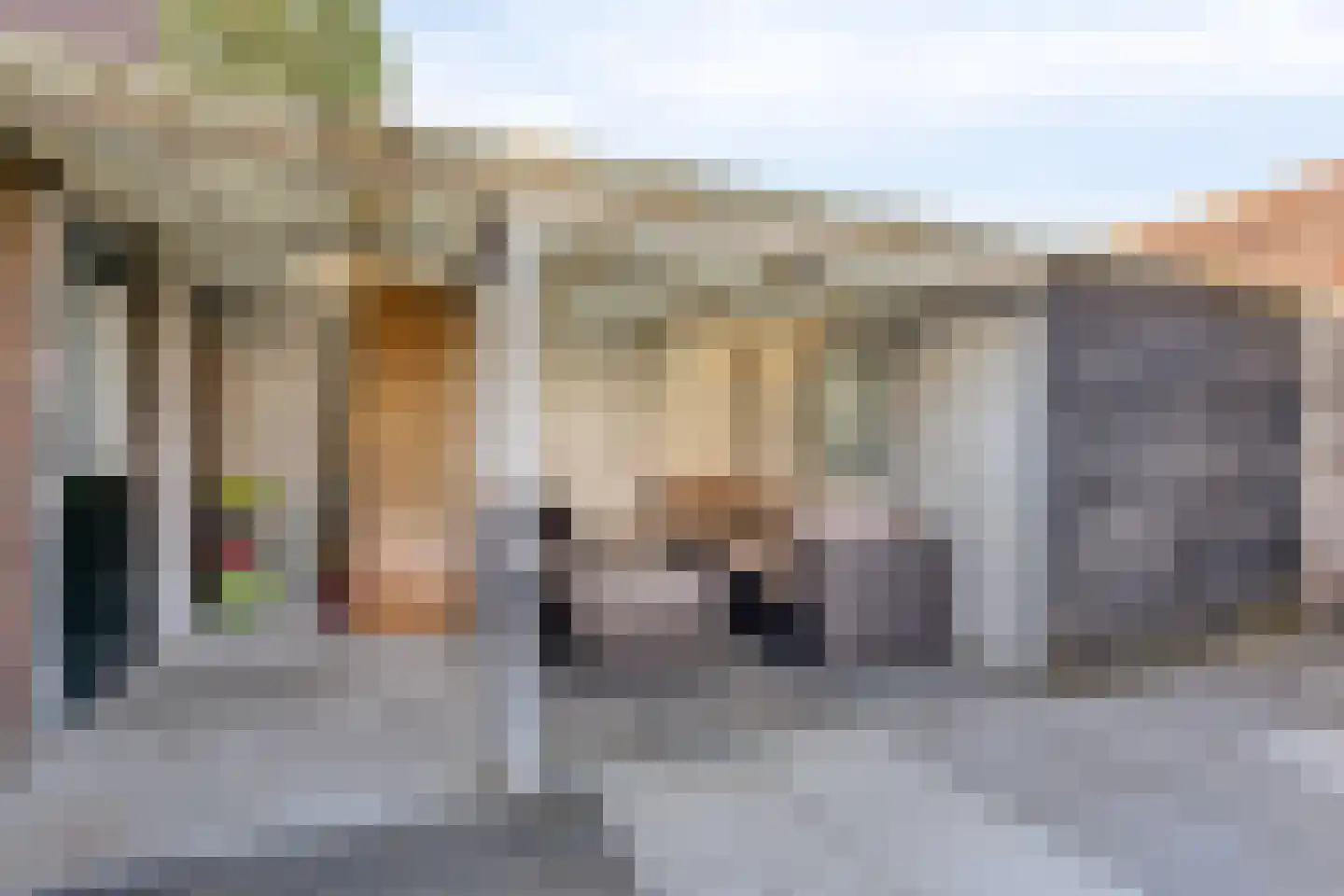 Papaverstraat 29 Alblasserdam thumbnail 29