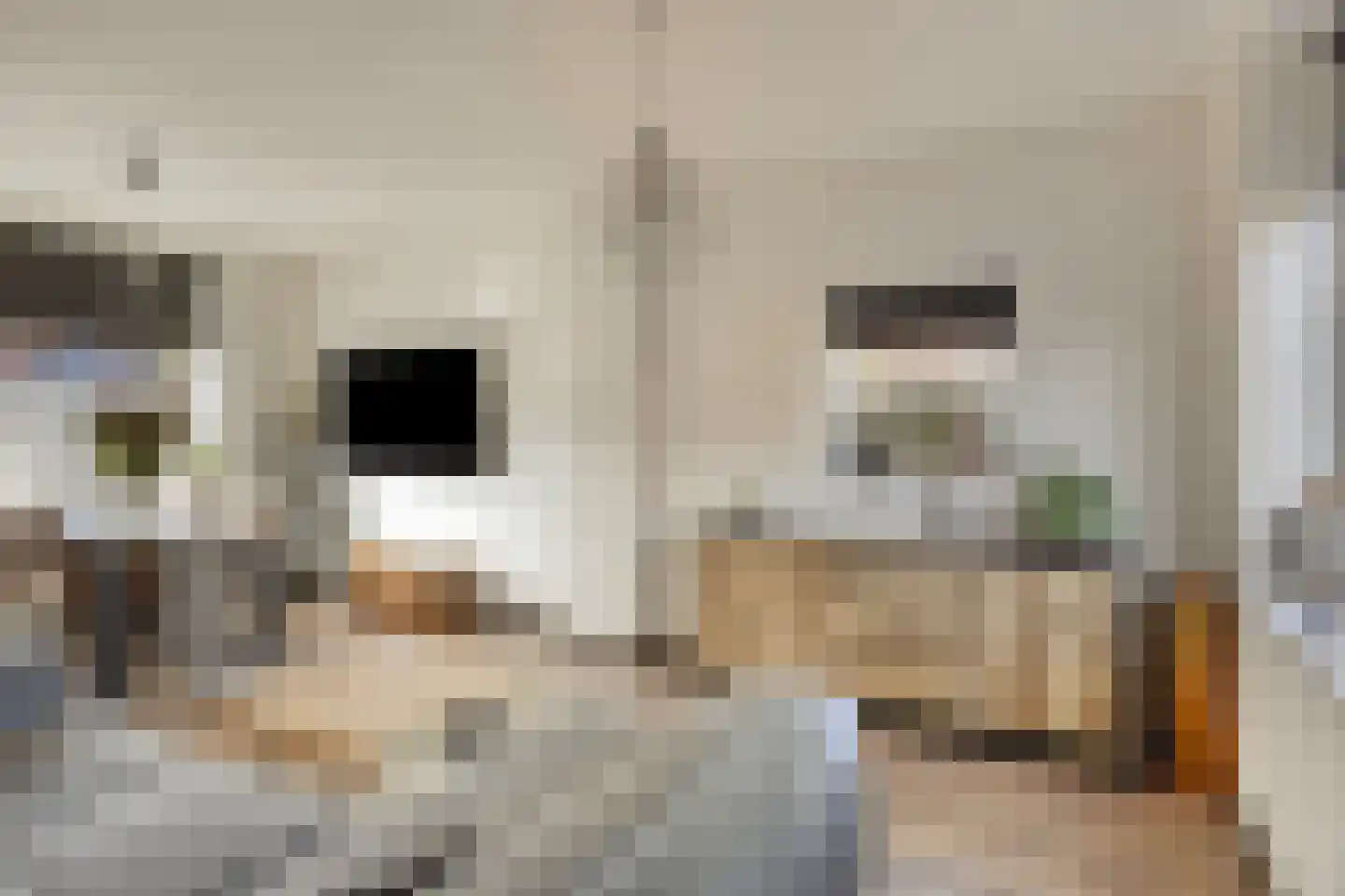 Papaverstraat 29 Alblasserdam thumbnail 4