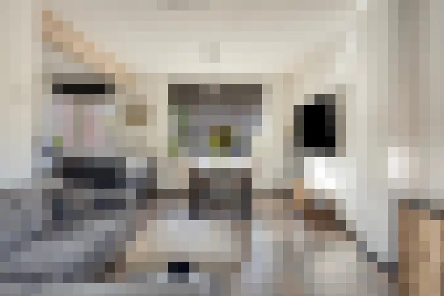 Papaverstraat 29 Alblasserdam thumbnail 5