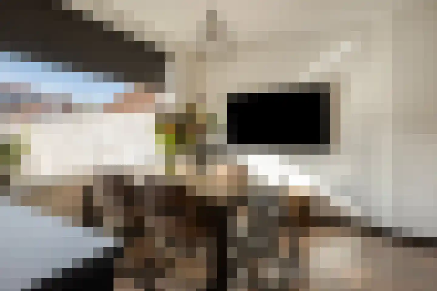 Papaverstraat 29 Alblasserdam thumbnail 7