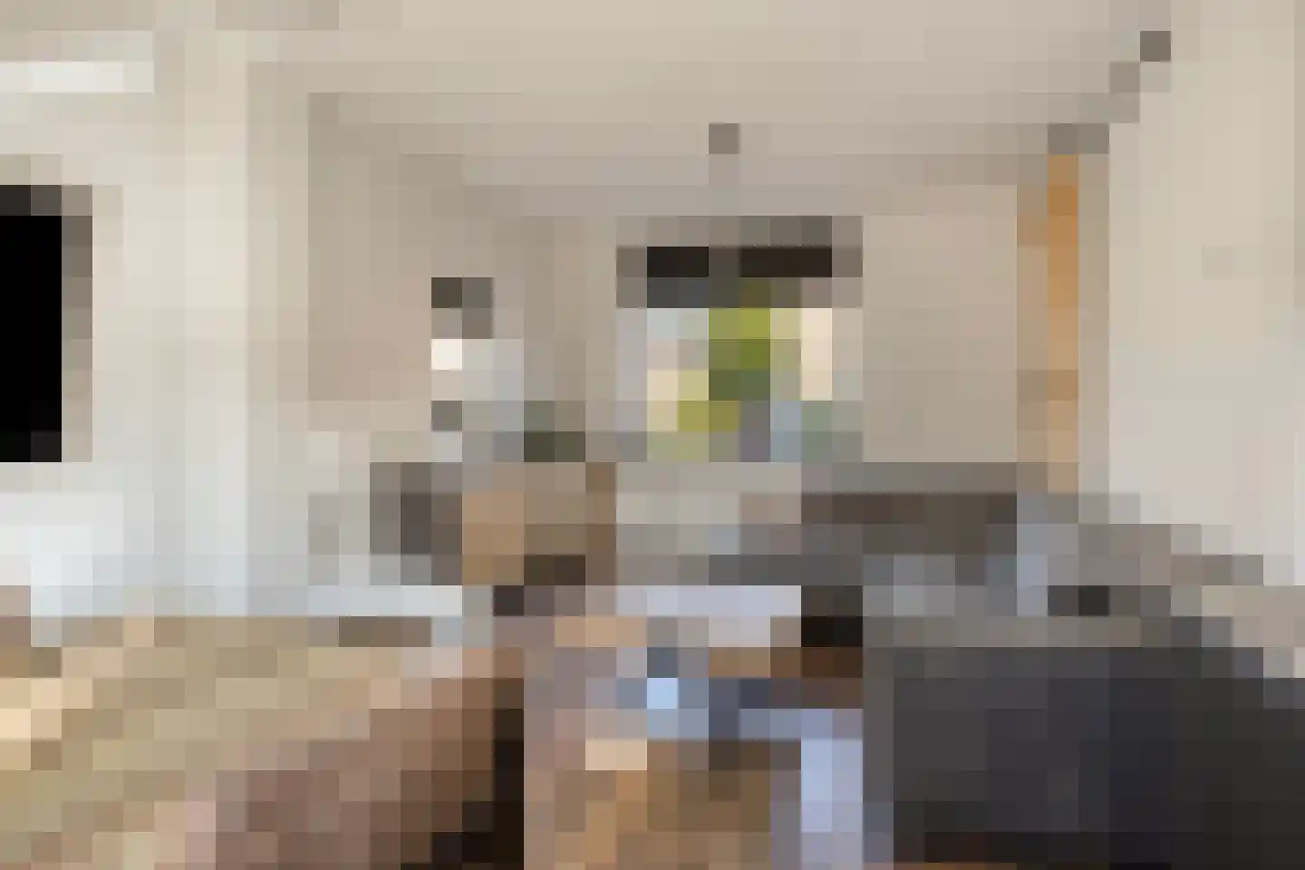 Papaverstraat 29 Alblasserdam thumbnail 8