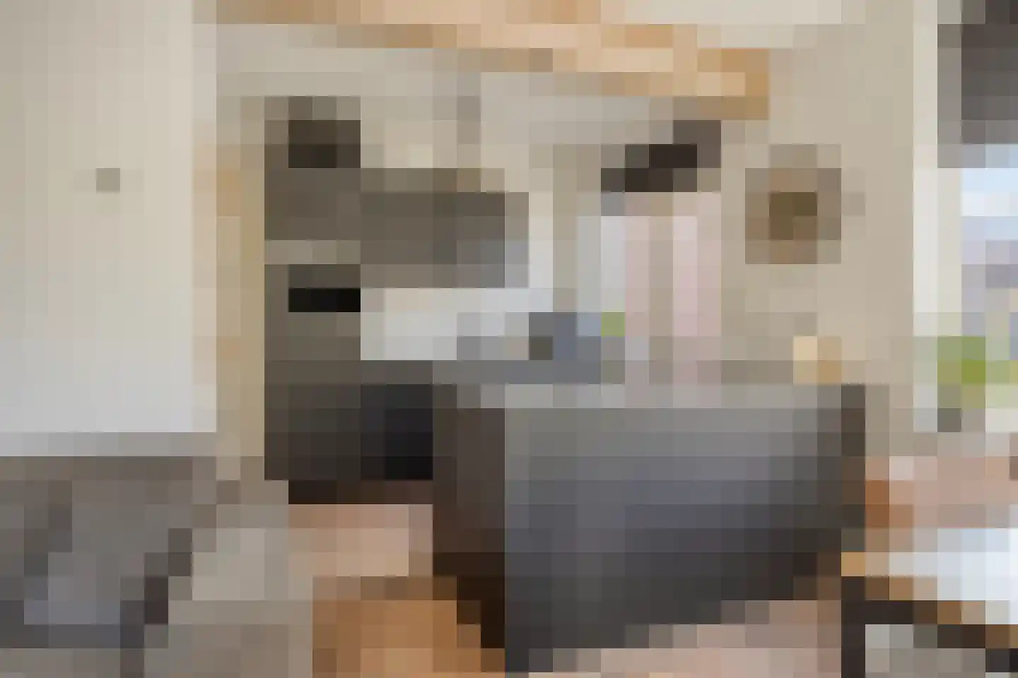 Papaverstraat 29 Alblasserdam thumbnail 9