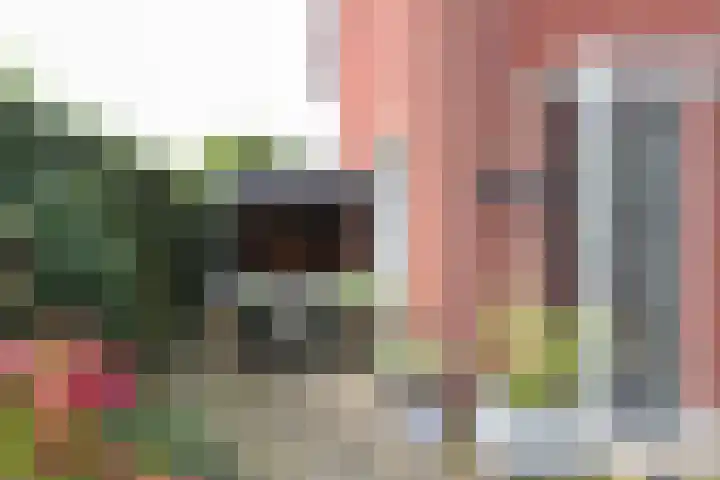 Papaverstraat 29 Bussum thumbnail 10