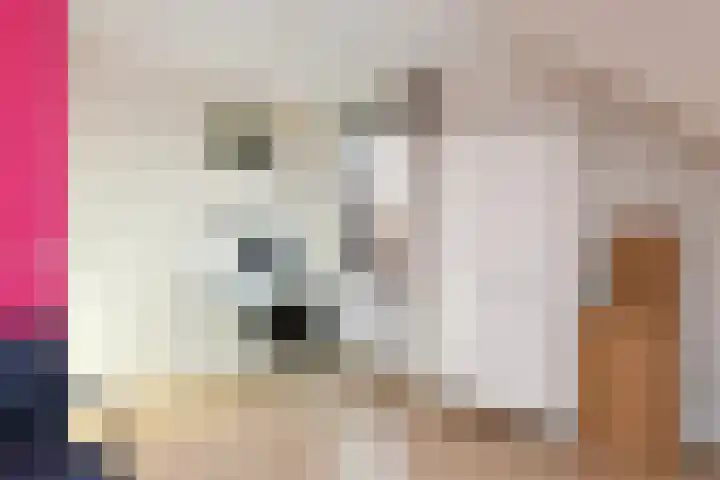 Papaverstraat 29 Bussum thumbnail 31