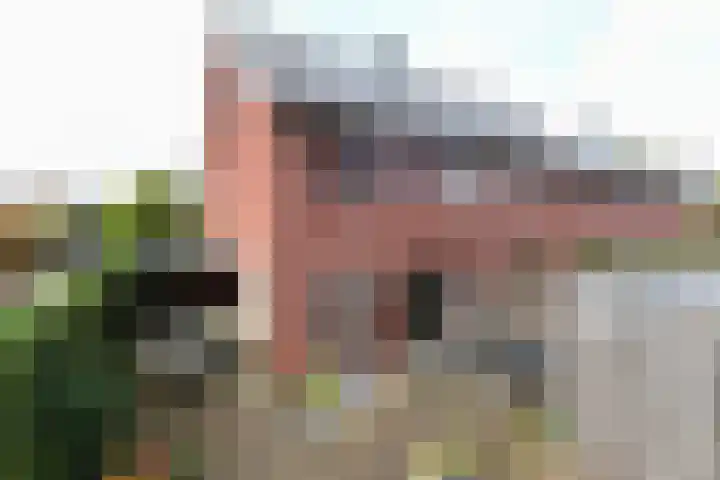 Papaverstraat 29 Bussum thumbnail 6