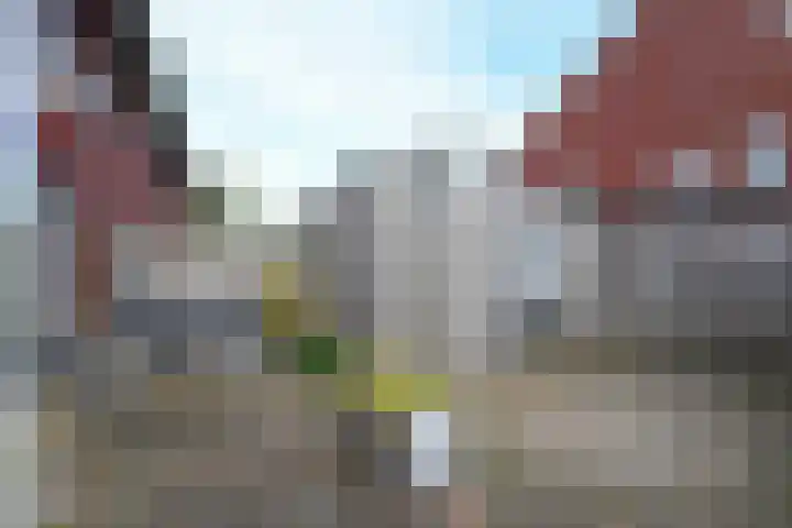 Papaverstraat 29 Bussum thumbnail 7
