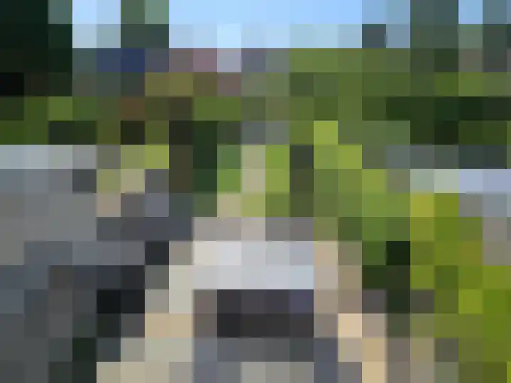 Papaverstraat 29 Nieuw-Vennep thumbnail 5