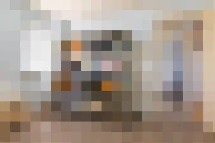 Papaverstraat 29 Purmerend thumbnail 24