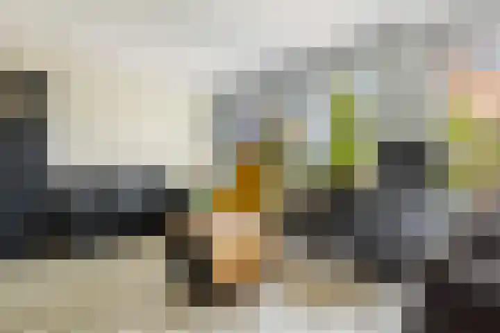 Papaverstraat 29 Purmerend thumbnail 7
