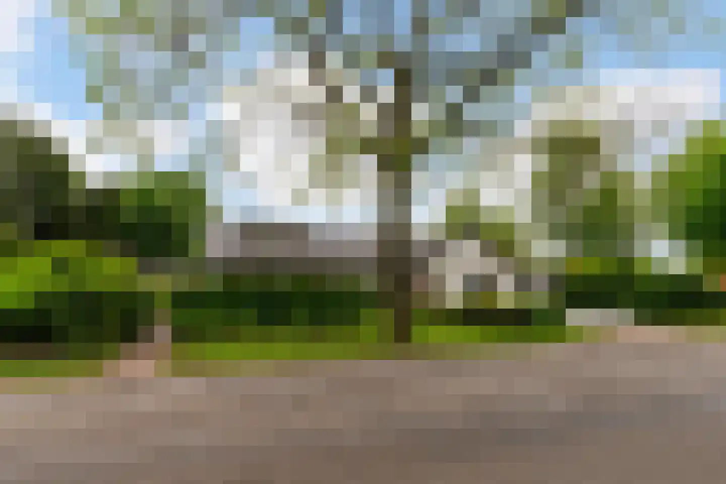 Papaverstraat 29 Sint-Michielsgestel thumbnail 6