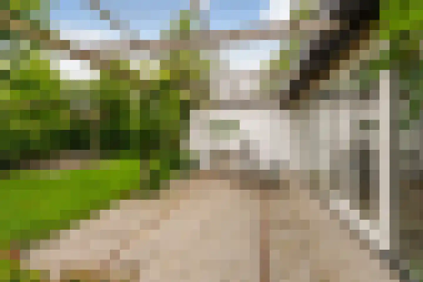 Papaverstraat 29 Sint-Michielsgestel thumbnail 64