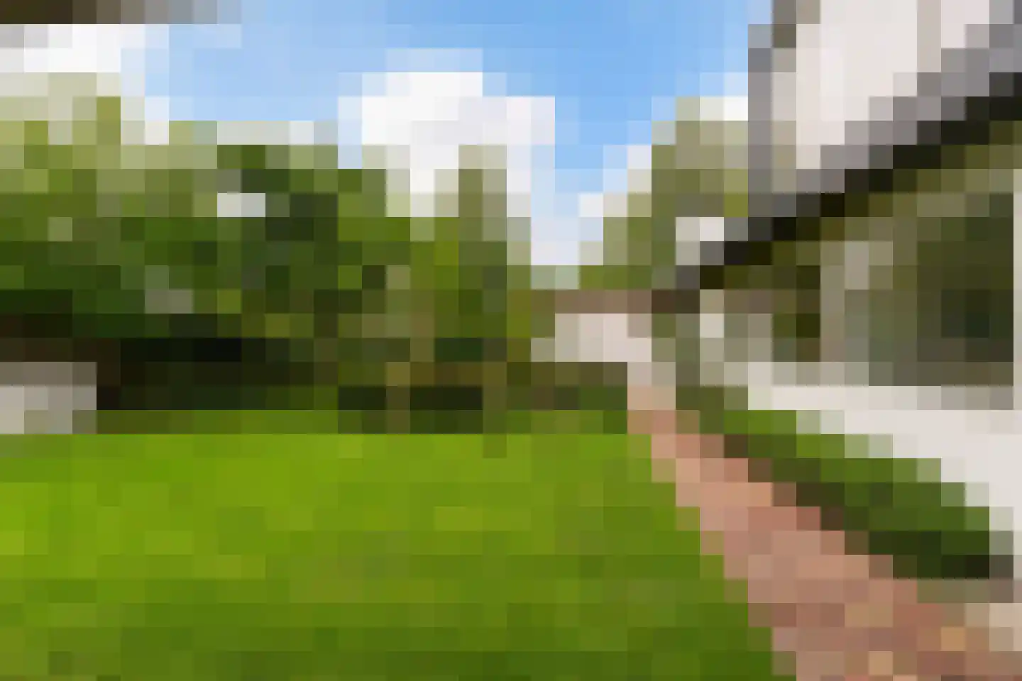 Papaverstraat 29 Sint-Michielsgestel thumbnail 67