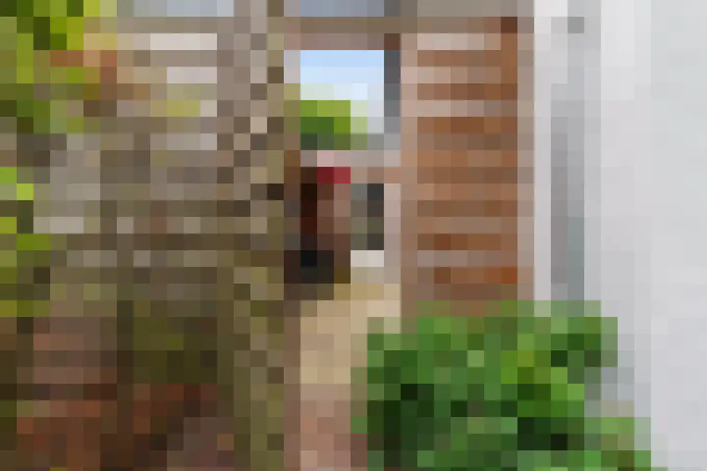 Papaverstraat 29 Sint-Michielsgestel thumbnail 74