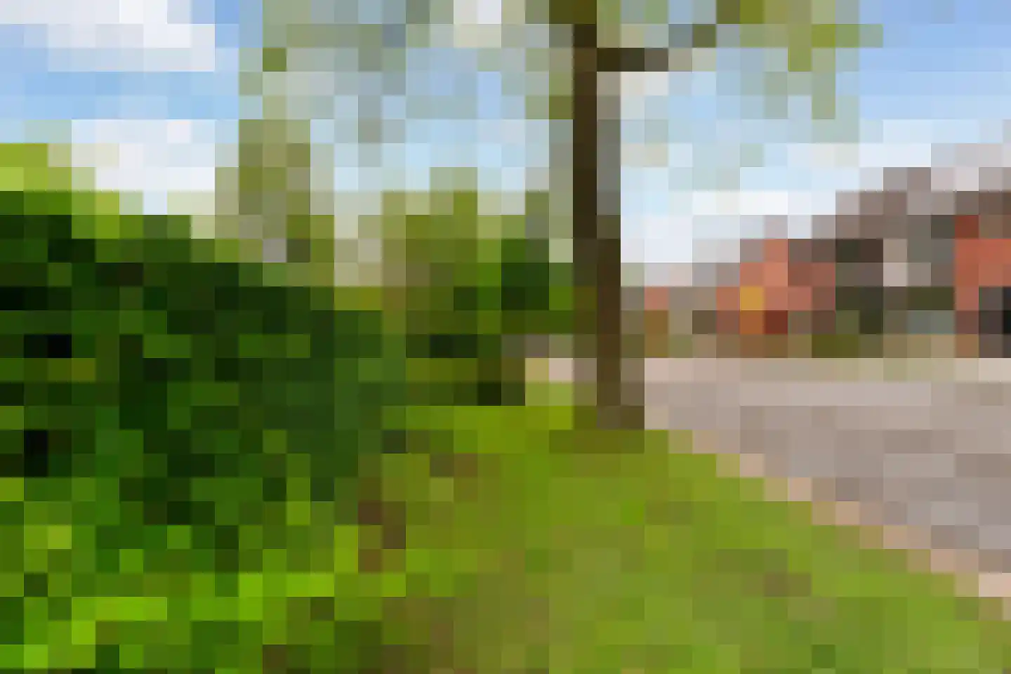 Papaverstraat 29 Sint-Michielsgestel thumbnail 76