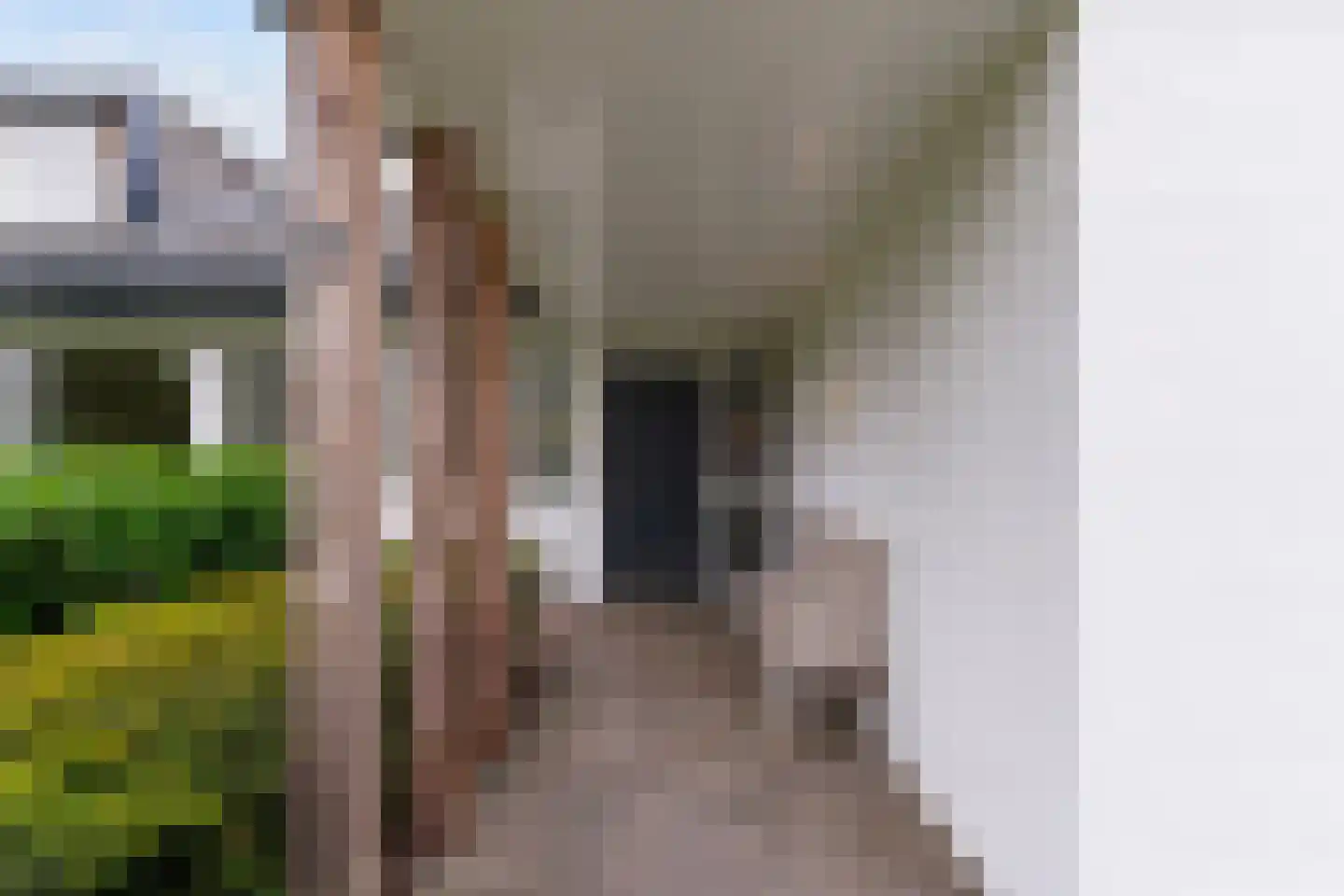 Papaverstraat 29 Sint-Michielsgestel thumbnail 8